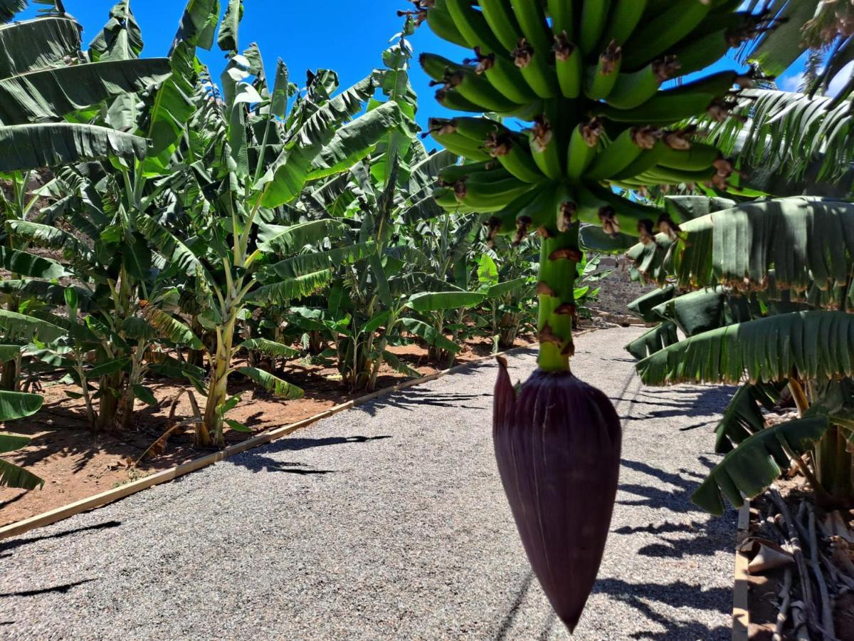 Rk Hacienda La Rekompensa Arucas Exterior foto