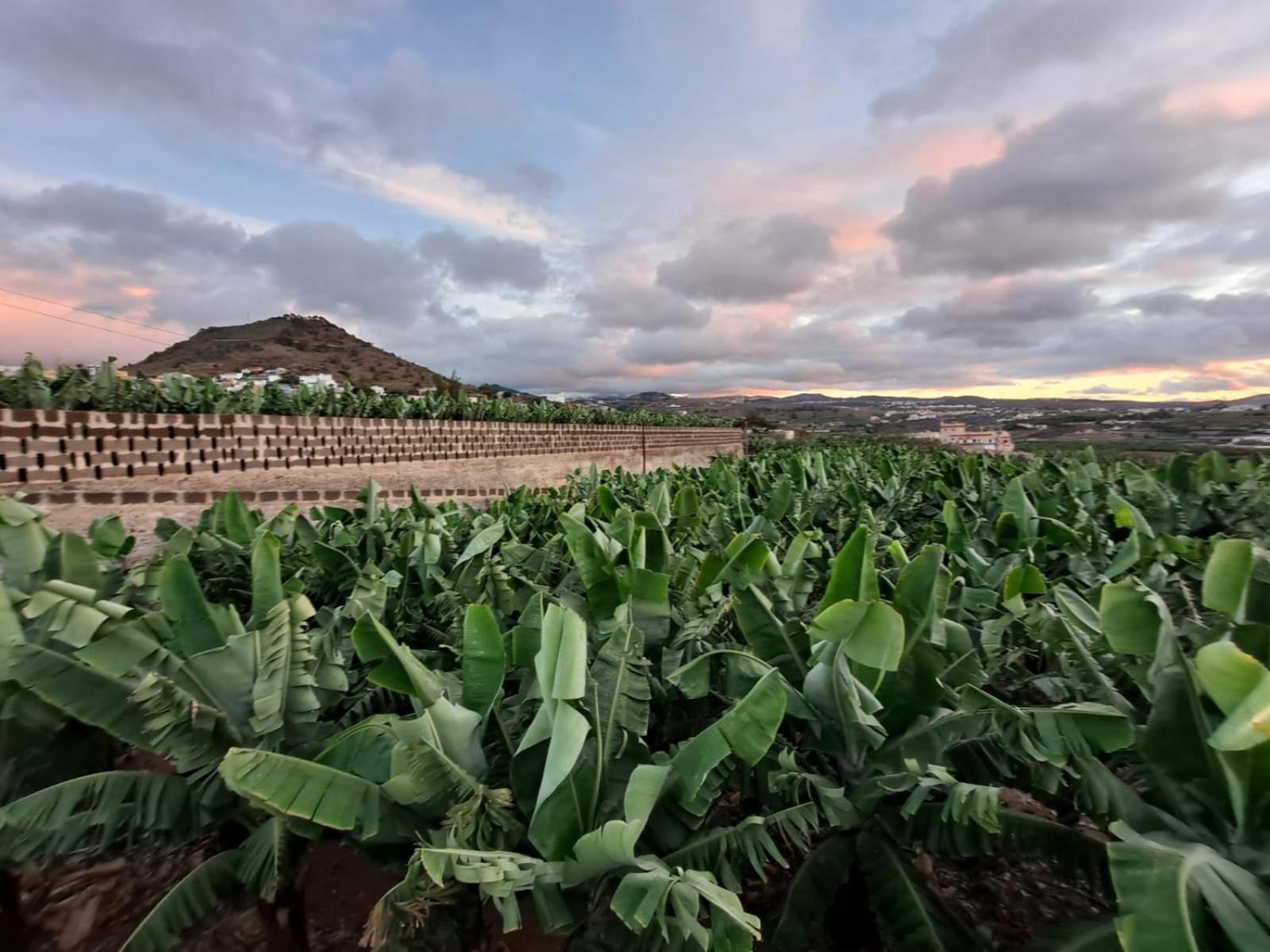 Rk Hacienda La Rekompensa Arucas Exterior foto
